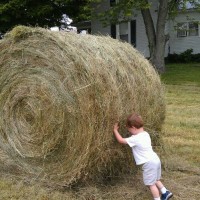 Sweet Shot Tuesday: Rolling Hay
